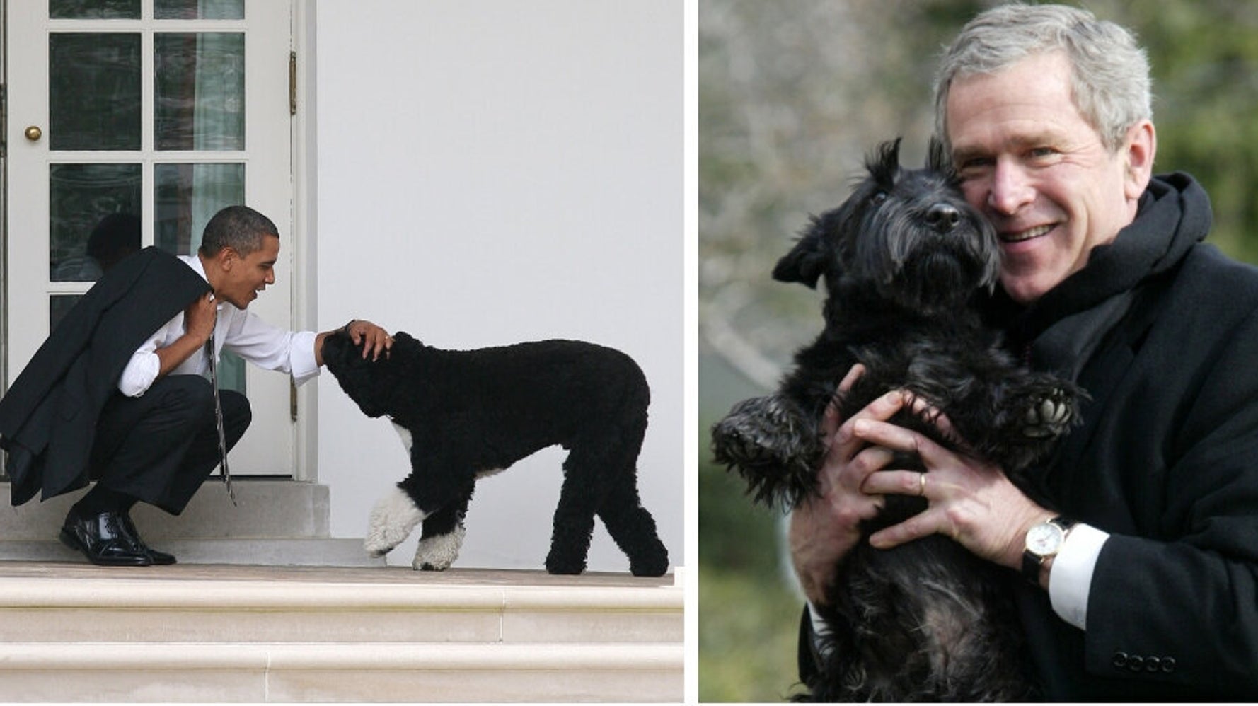 President's dogs 2024