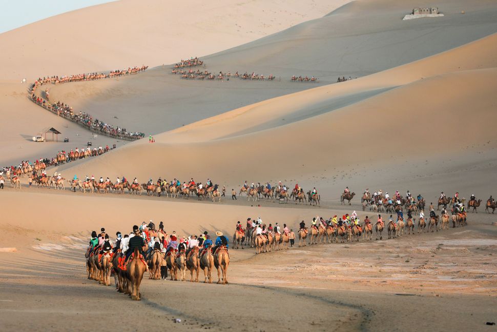 Τουρίστες κάνουν βόλτα με καμήλες, στην έρημο του Ντουνχουάνγκ, στην βορειοδυτική επαρχία Γκανσού της Κίνας, στις 10 Αυγούστου.
