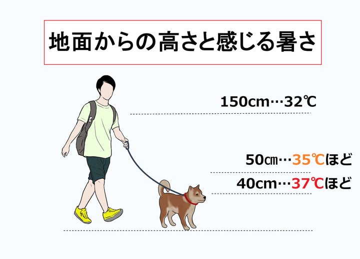 地面からの高さと感じる暑さ