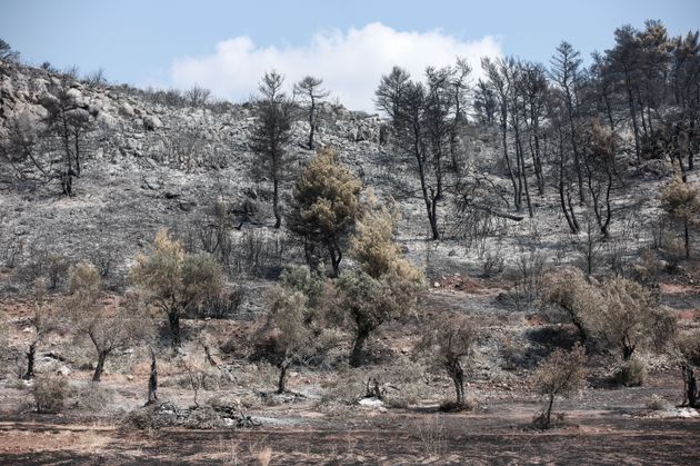 Χαρτογραφία καταστροφής: Τι άφησε πίσω της η φωτιά στην