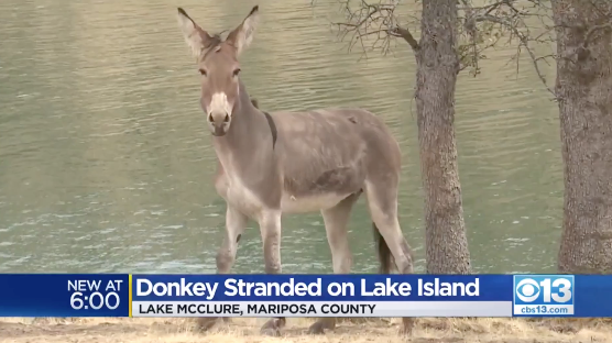 Hillary on the island earlier this month, as shown in a newscast from CBS Sacramento.