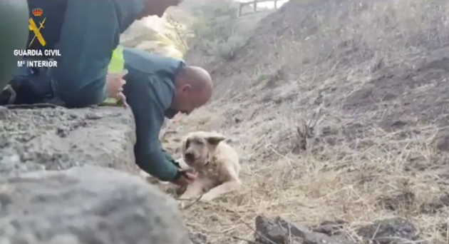 Los dos agentes del Seprona, atendiendo al perro en Gran