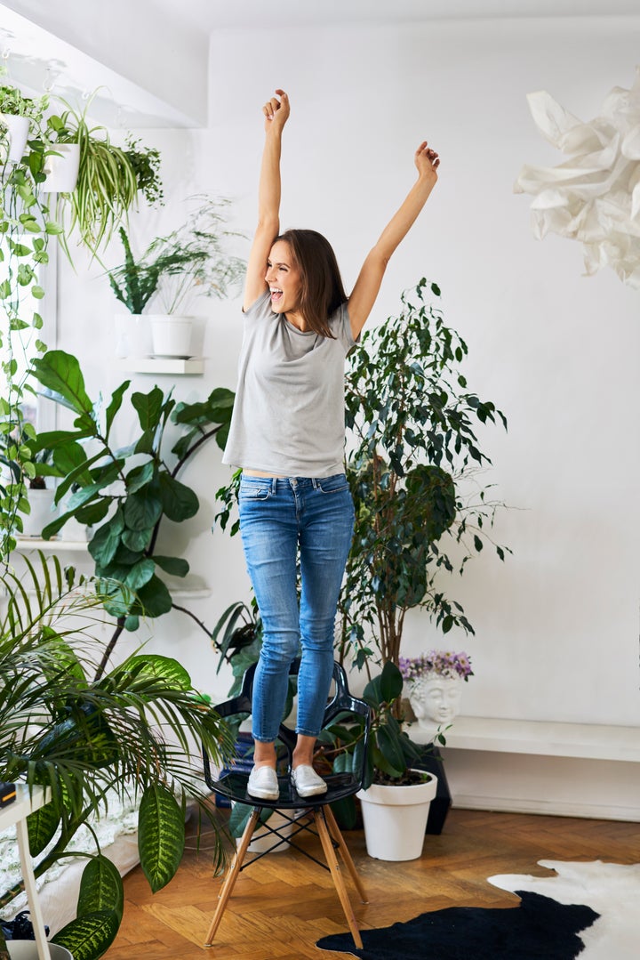 We found raised plant stands less than $50 for the proud plant parent.