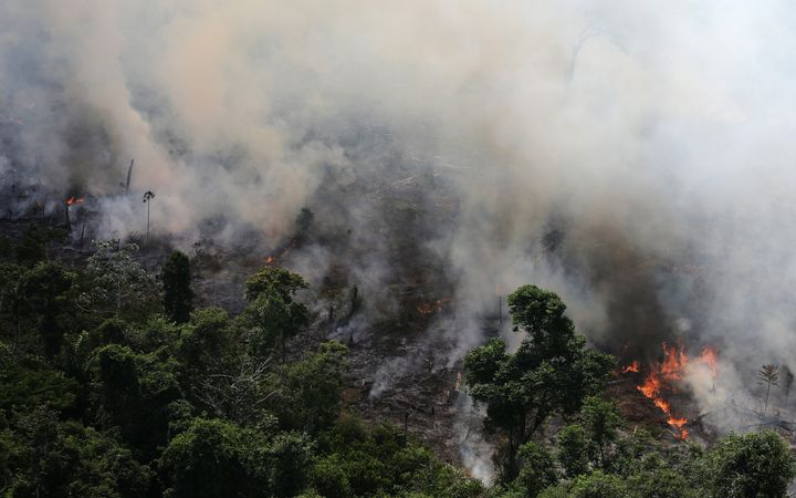 A 2013 photo shows an aerial view of a tract of Amazon jungle burning as it is being cleared by loggers and farmers near the city of Novo Progresso, Para state, Brazil.