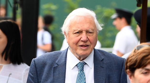 Sir David Attenborough Has Some Very Strong Opinions About Brexit
