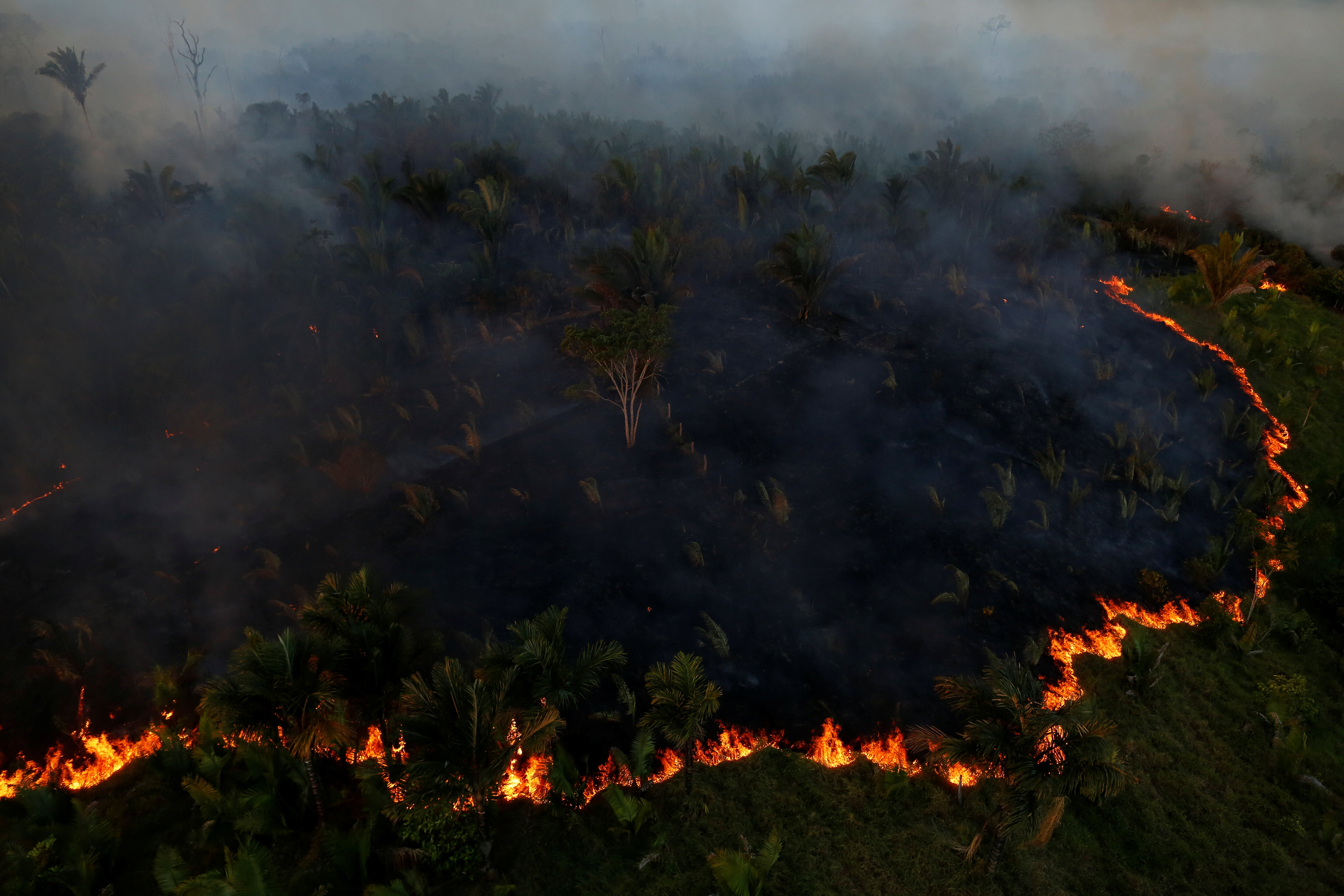 What You Should Know About The Fires Raging In The Amazon | HuffPost