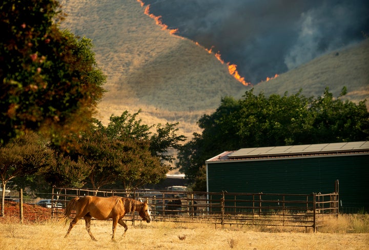 In early August, the Marsh Fire burned hills in the the town of Brentwood in California's Contra Costa County.