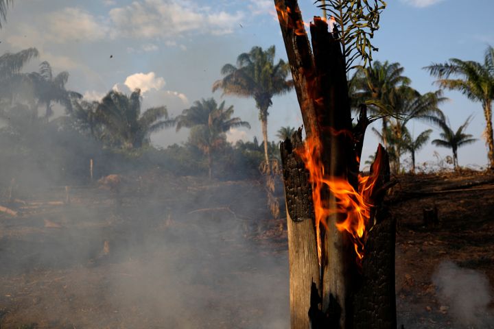 A tract of Amazon jungle is seen burning as it is being cleared by loggers and farmers in Iranduba, Amazonas state, Brazil on 20 August, 2019.