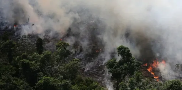 Esto es lo que tienes que saber para entender por qué arde la