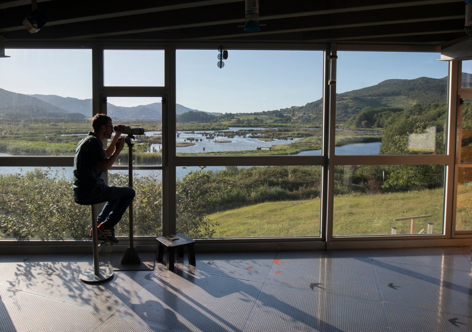 Ibon Martín, en el mirador del <a href="http://www.birdcenter.org/" target="_blank" rel="noopener noreferrer">Urdaibai Bird Center</a>.