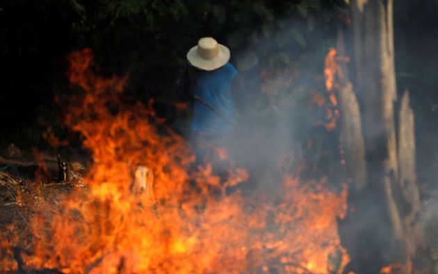 As fotos de animais carbonizados e incêndios na Amazônia são verdadeiras? |  HuffPost Brasil