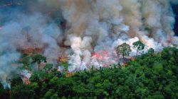 Incendies en Amazonie: d'où vient cette (vieille) photo partagée par Macron et