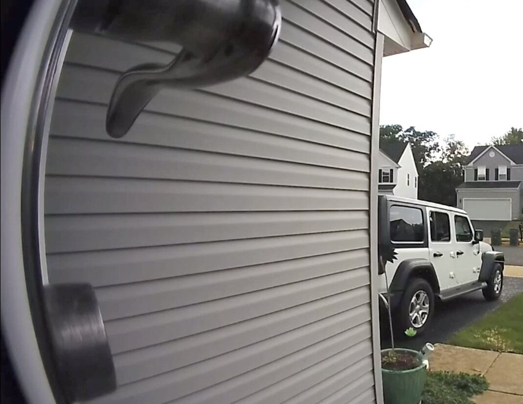 Doorbell Cam Activates And Captures An Absolute Nightmare