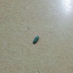 Και όμως συνελήφθη για ένα χάπι…