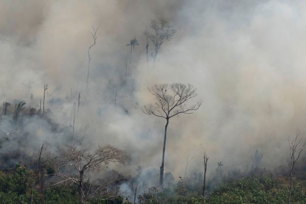 Focos de queimada na Amazônia aumentaram mais de 80% entre janeiro deste ano e o início...