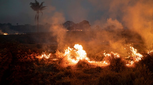 Brazilian Military Begins Operations To Fight Amazon Fires