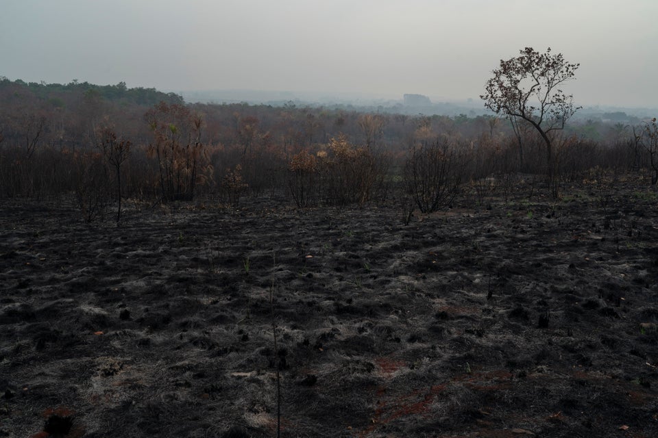 A scorched field is seen in Altamira, Para state, Brazil, Saturday, Aug. 24, 2019