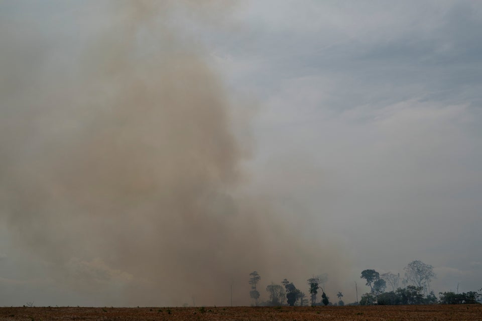 Fire consumes a field in Novo Progresso, Para state, Brazil, Saturday, Aug. 24