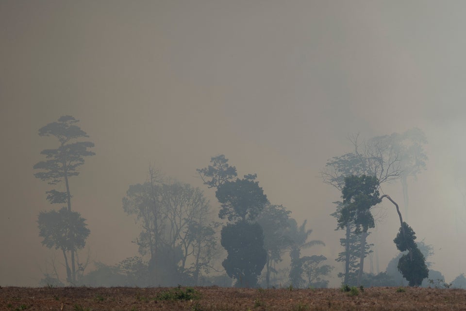 Fire consumes a field in Novo Progresso, Para state, Brazil, Saturday, Aug. 24,