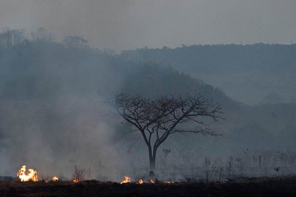 Fire consumes a field alongside the BR 163 highway in Nova Santa Helena municipality, Mato Grosso State, Brazil, Friday, Aug. 23, 2019.