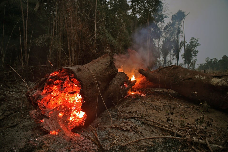 View of fire in the Amazon rainforest, near Abuna, Rondonia state, Brazil, on August 24, 2019.