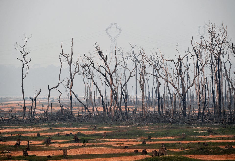 View of burnt areas of the Amazon rainforest, near Abuna, Rondonia state, Brazil, on August 24, 2019