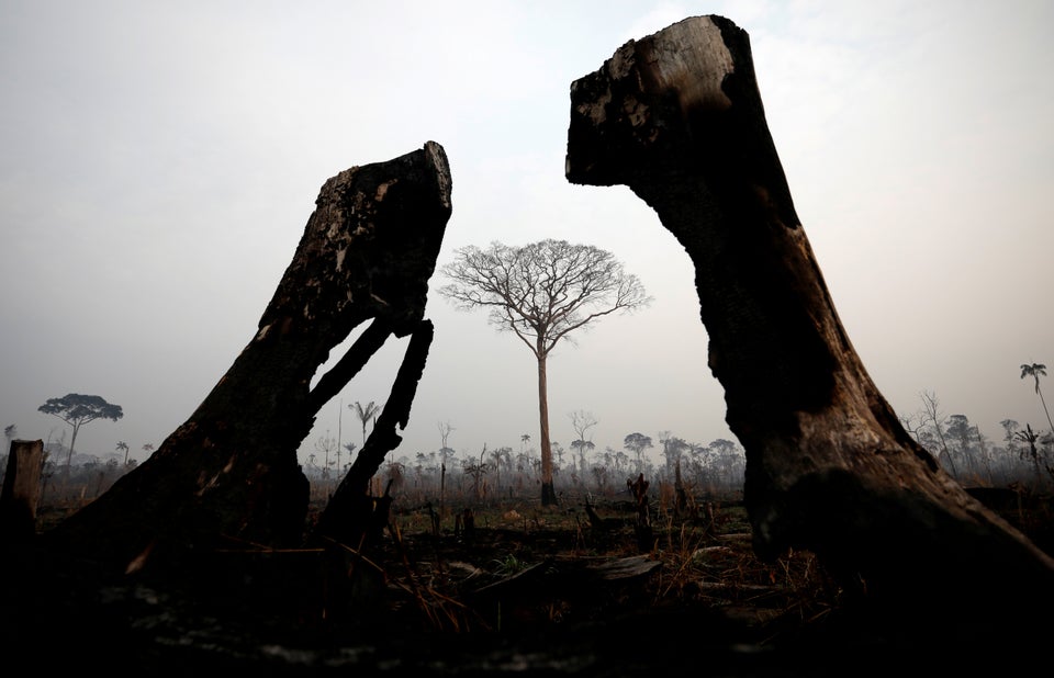 A tract of Amazon jungle is seen after a fire in Boca do Acre, Amazonas state, Brazil August 24, 2019.