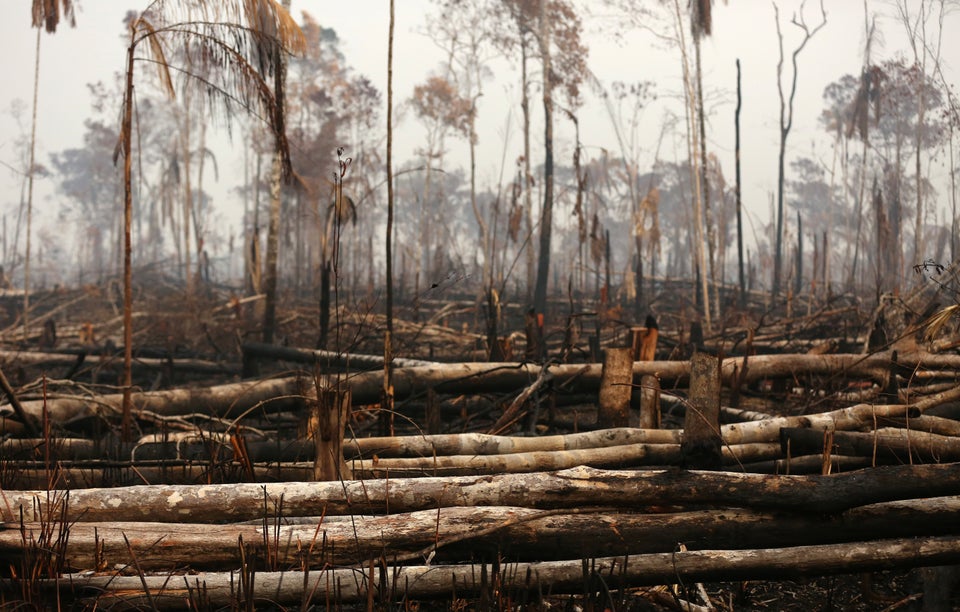 A tract of Amazon jungle is seen after a fire in Boca do Acre, Amazonas state, Brazil August 24, 2019.