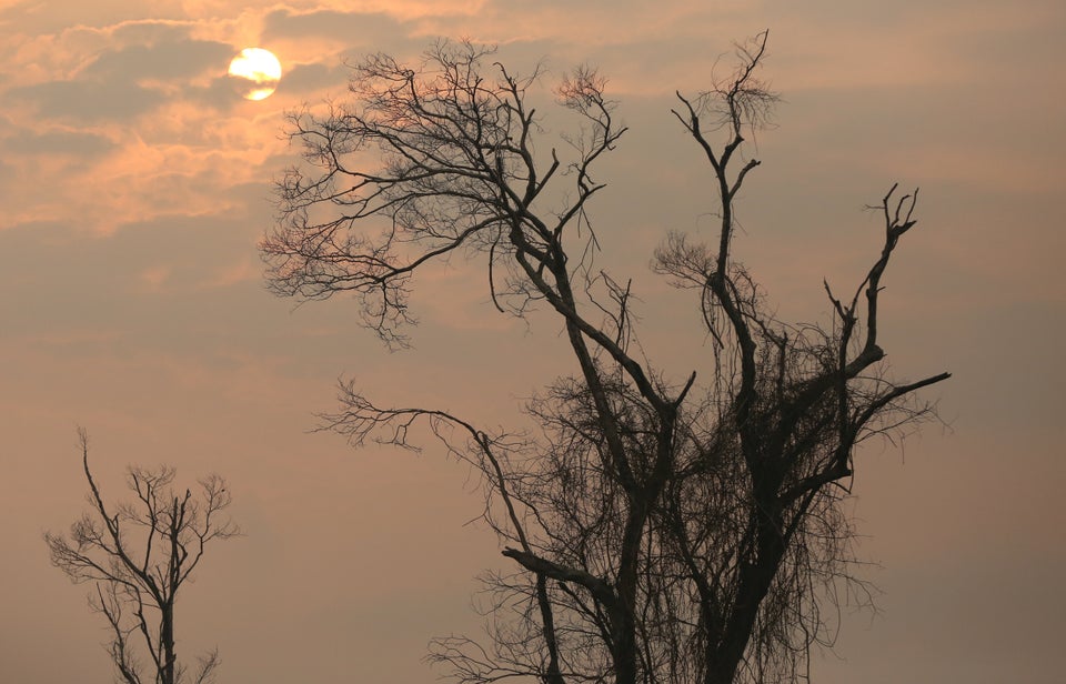 A tract of Amazon jungle is seen after a fire in Boca do Acre, Amazonas state, Brazil August 24, 2019