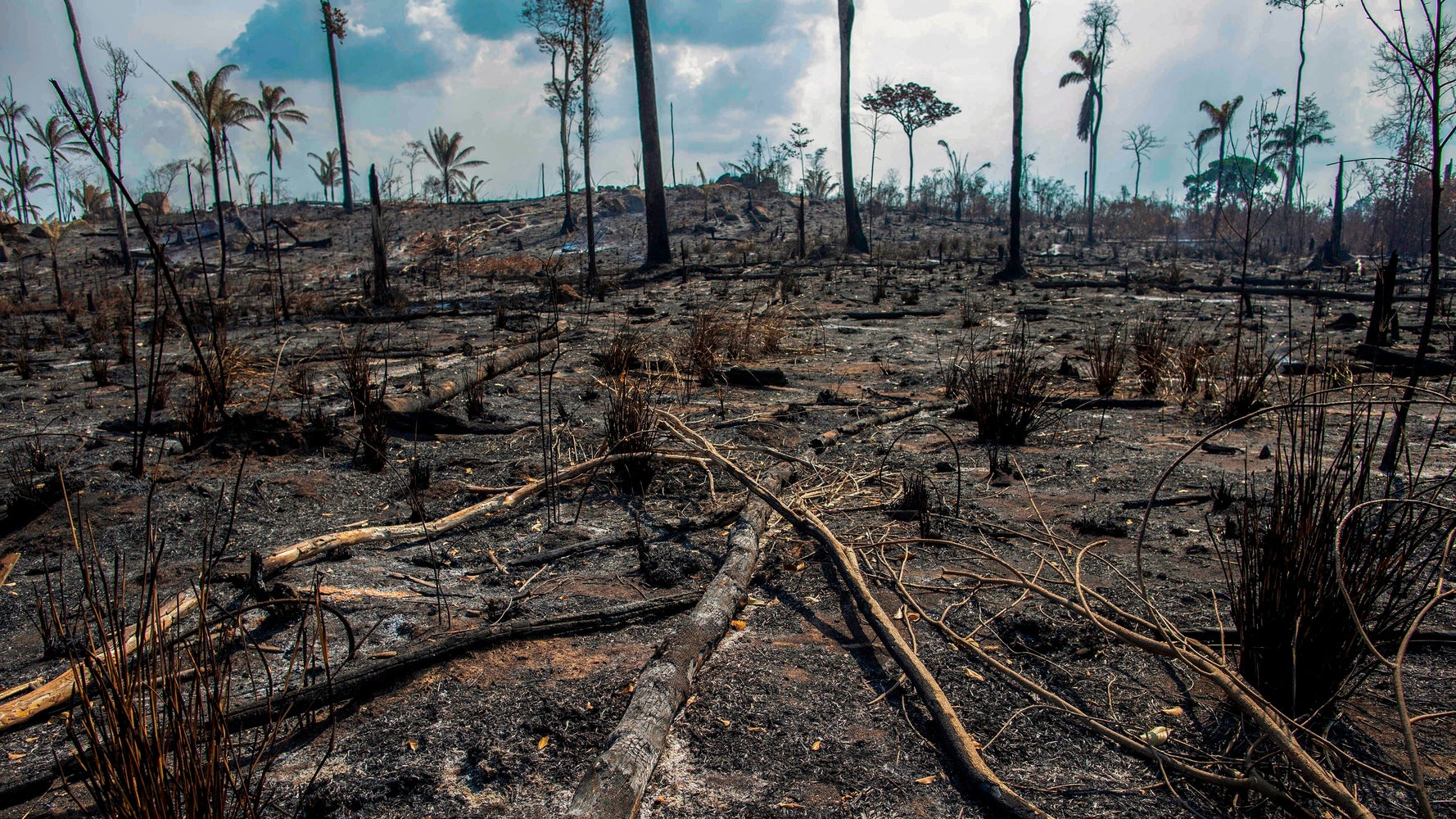 In Brazil’s Amazon, Fire Hit ‘Like An Erupting Volcano.’ Then Came The ...