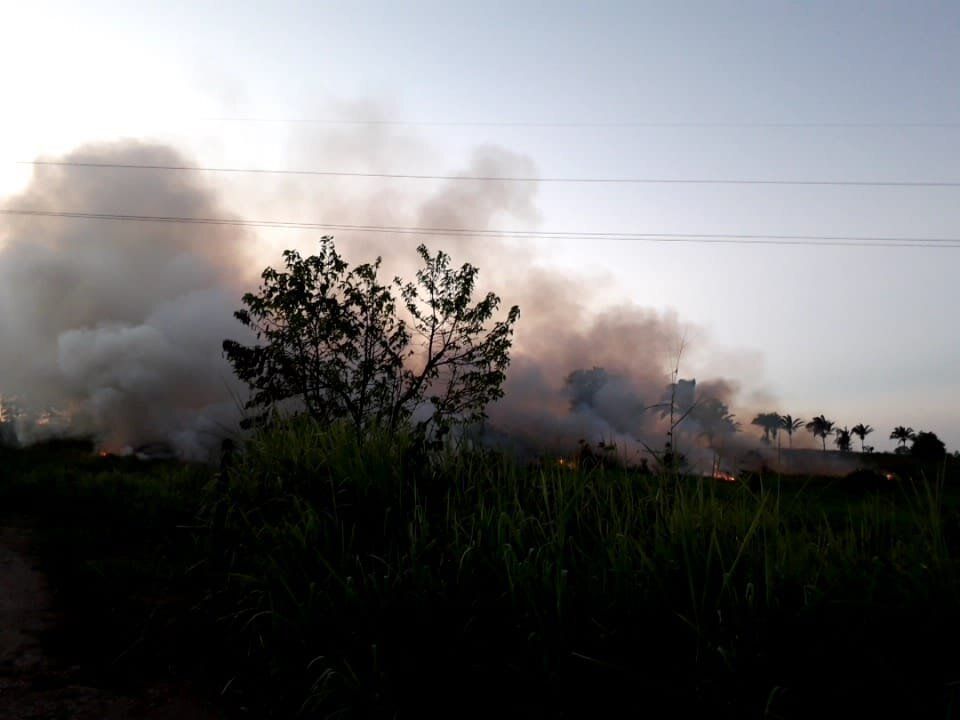 Terreno com focos de incêndio na altura do distrito de Medicilândia, às margens da