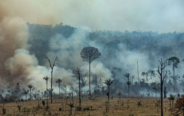 El humo inunda la Floresta Nacional do Jamanxim en el estado de Pará, el 23 de agosto de 2019.
