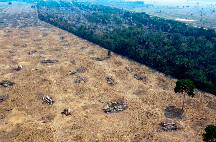 Zonas quemadas del Amazonas cerca de Porto Velho (Brasil), el 24 de agosto de 2019.