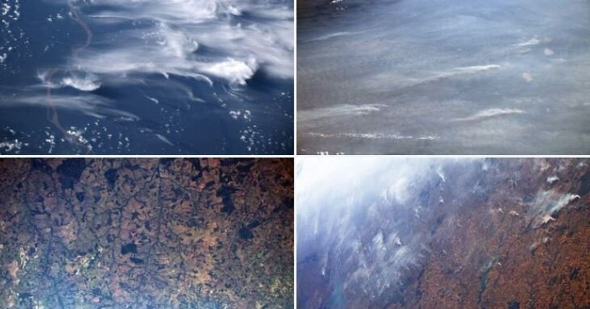 Risultati immagini per foto dell'amazzonia dallo spazio l'italiano?