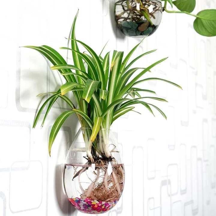 9 Places In Canada You Can Buy Houseplants Online Huffpost Canada Life