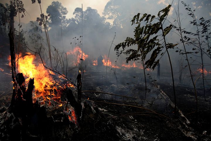 A fire burns trees and brush along the road to Jacunda National Forest, near the city of Porto Velho in the Vila Nova Samuel region which is part of Brazil's Amazon
