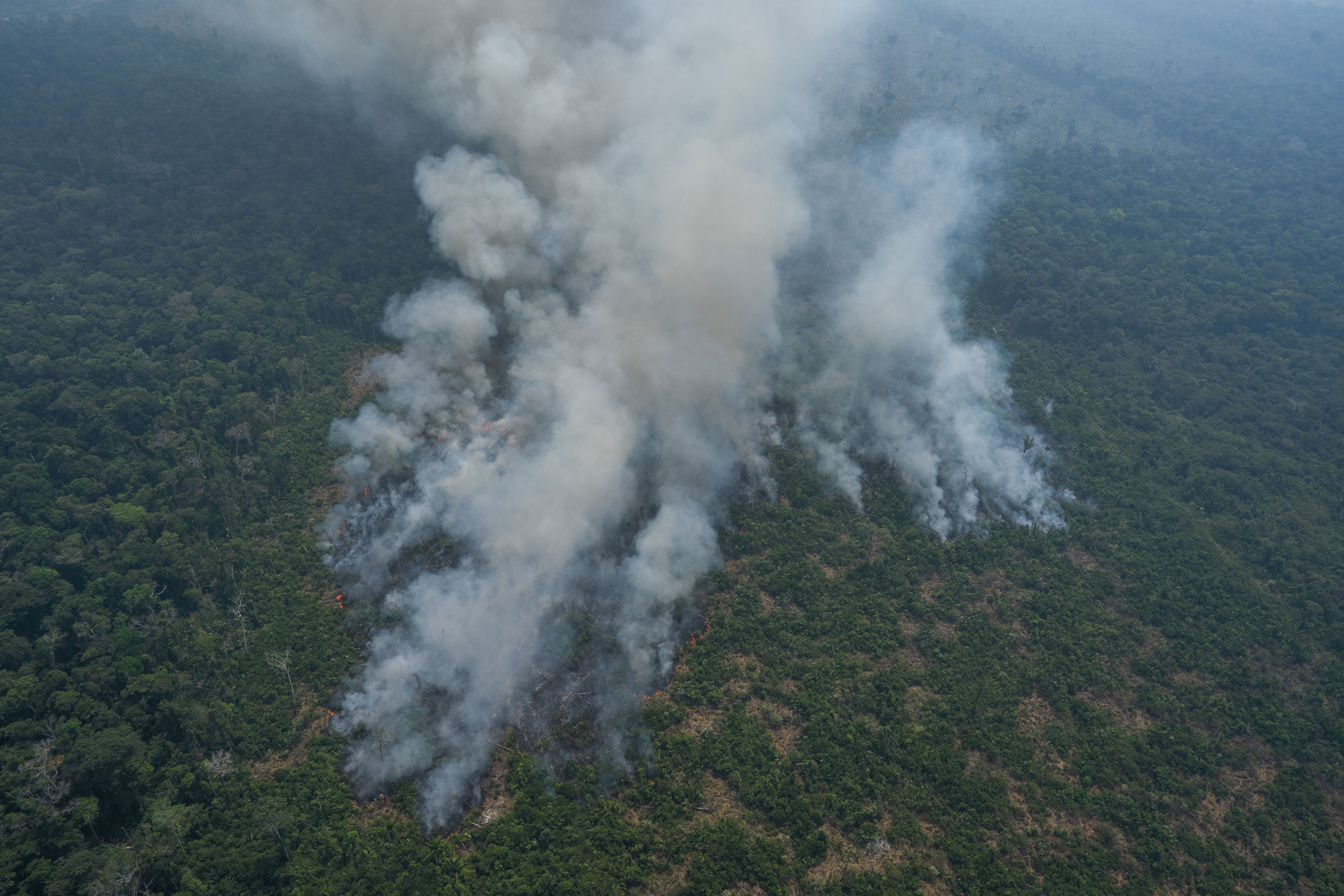 Brazil To Reject $20 Million Wildfire Aid From G-7 Unless France ...