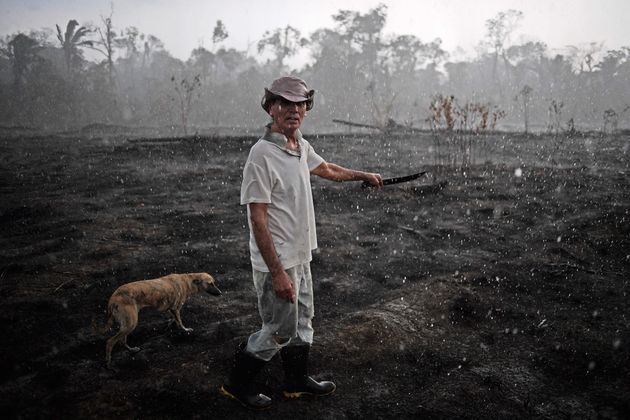 Un fermier brésilien devant un paysage désolé à la suite des feux qui dévastent...