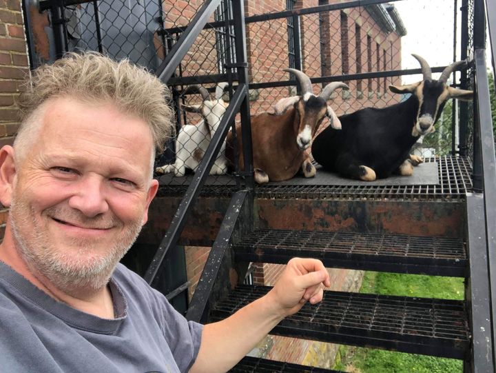 Bill Steele and his goats (from left) Princess, Deputy Mayor and Mama Goat on the fire escape at his B&B