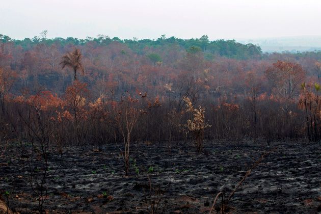 Fumaça na Floresta Amazônica denuncia foco de
