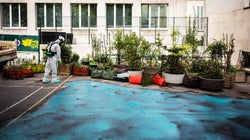 Un 3e enfant avec un taux trop élevé de plomb près de Notre-Dame de