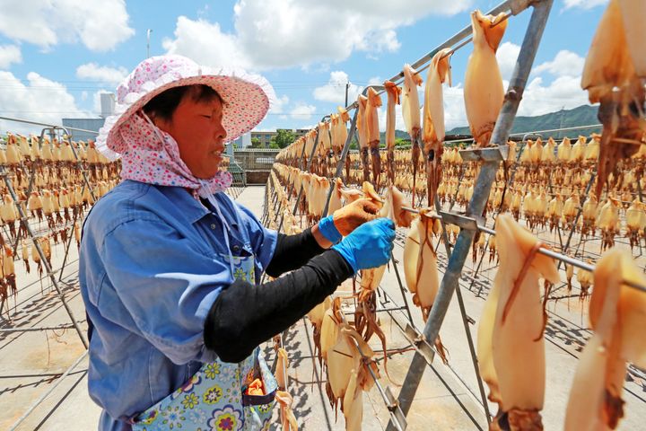 A food company employee dries squid on Aug. 2, 2019, in Zhoushan, China.