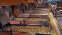 Il n’y aura bientôt plus d’usine de tabac en