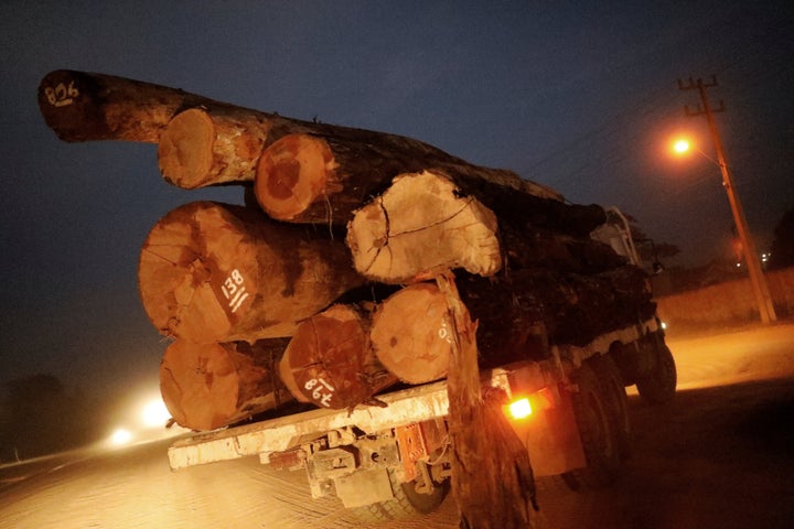 A truck transports logs that were illegally extracted from Amazon rainforest on Tuesday.