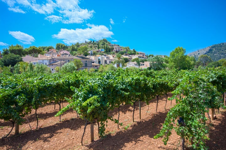 Pollenca, Mallorca, Spain