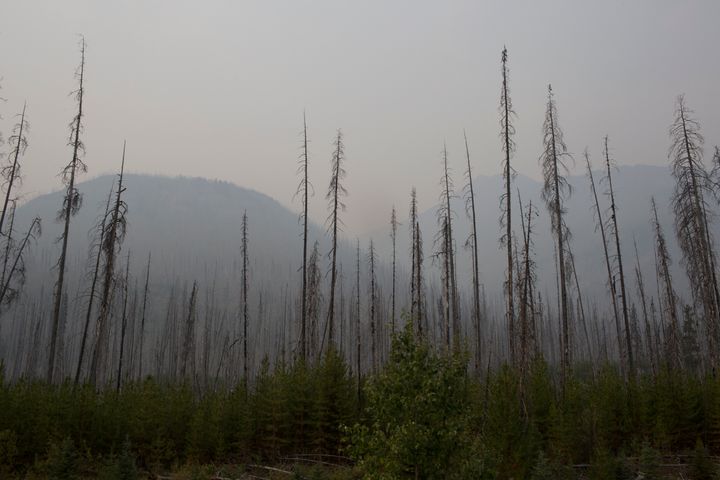 Smoke from wildfires fills the air in British Columbia's Kootenay National Park on Aug. 25, 2018. The conditions are ripe for a spike in fires this fall, Accuweather says.