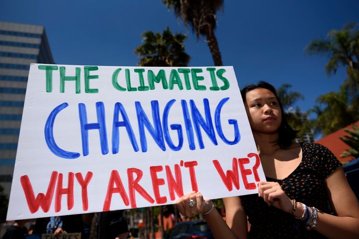 A protester at a climate change demonstration in Los Angeles in May.