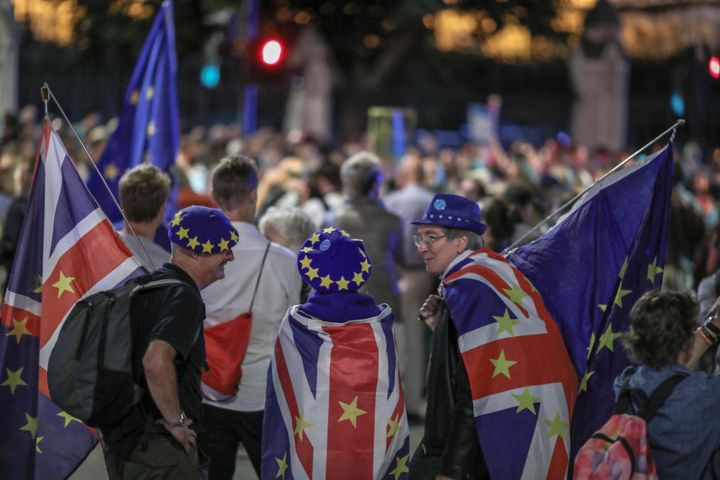 Anti-Brexit supporters at protests near the Houses of Parliament this week. 