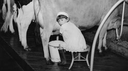 Connaissez-vous les noms de ces vieux