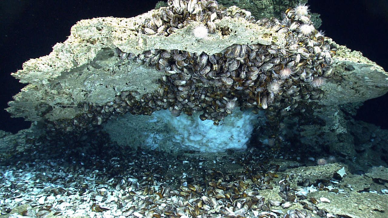 Methane hydrate, a frozen form of methane gas, at one of the many cold seeps off the U.S. Atlantic coast. Hydrate is widespread in the deep ocean and sequesters as much as 20% of all carbon on Earth.